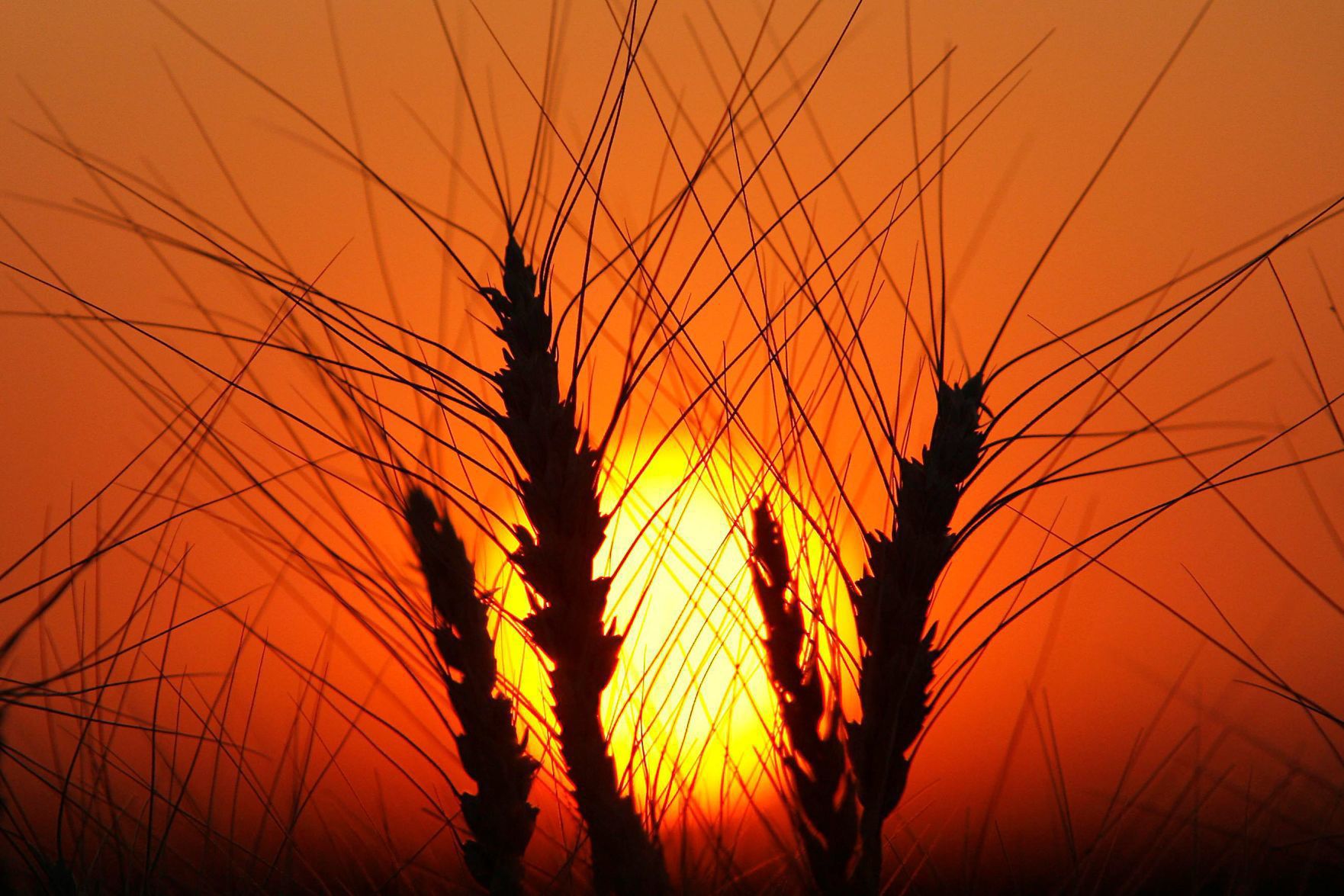 Best of Nebraska